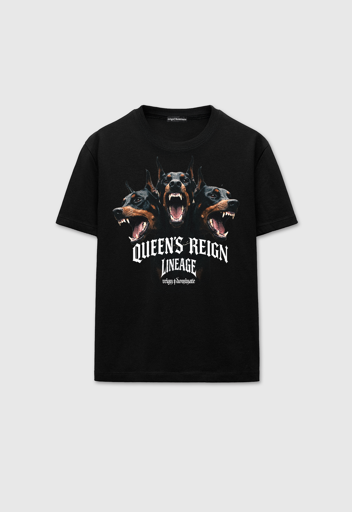 𝖗𝖊𝖎𝖌𝖓♰𝖉𝖔𝖒𝖎𝖓𝖆𝖙𝖊 - LINEAGE LOOSE FIT TSHIRT